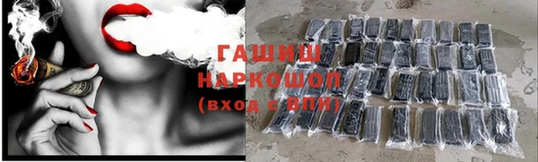 индика Касимов