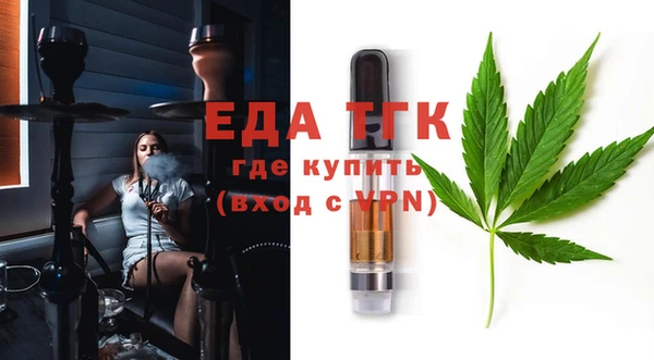 индика Касимов