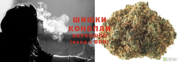 шишки Карпинск