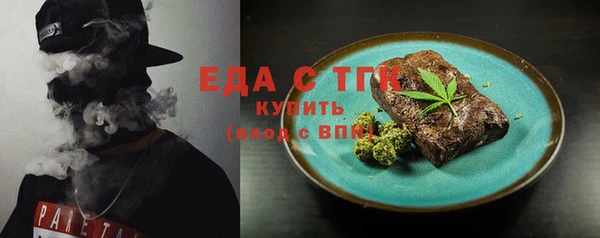 индика Касимов