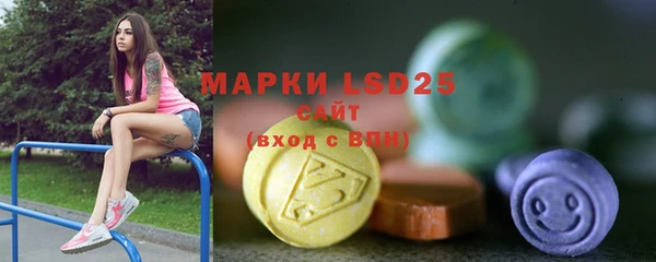 индика Касимов