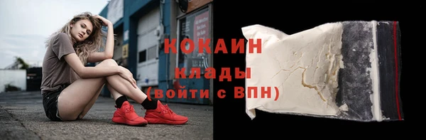 шишки Карпинск