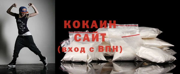 индика Касимов