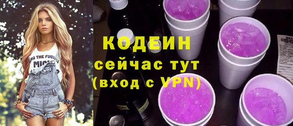 шишки Карпинск