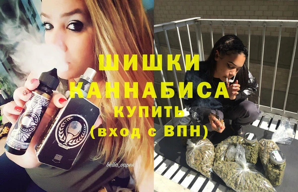 индика Касимов