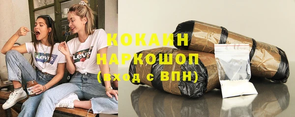 индика Касимов