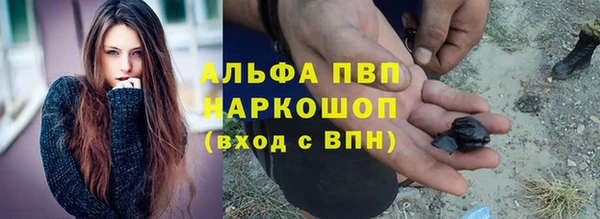 шишки Карпинск