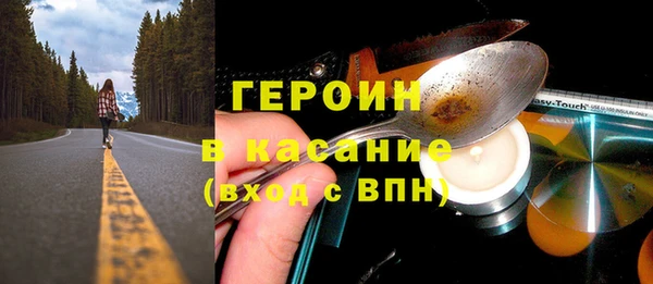 индика Касимов
