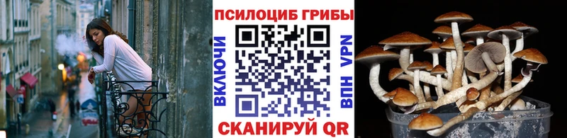 Галлюциногенные грибы мицелий  Купить где  Заречный 
