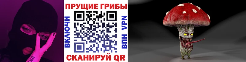 Псилоцибиновые грибы Cubensis Заречный